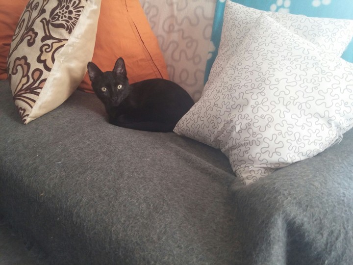 Ori
