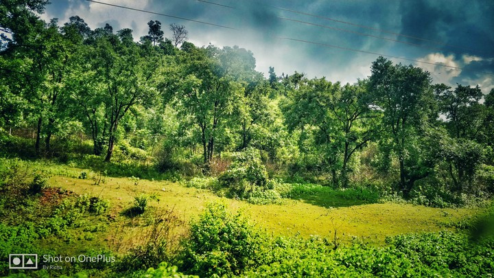 nature