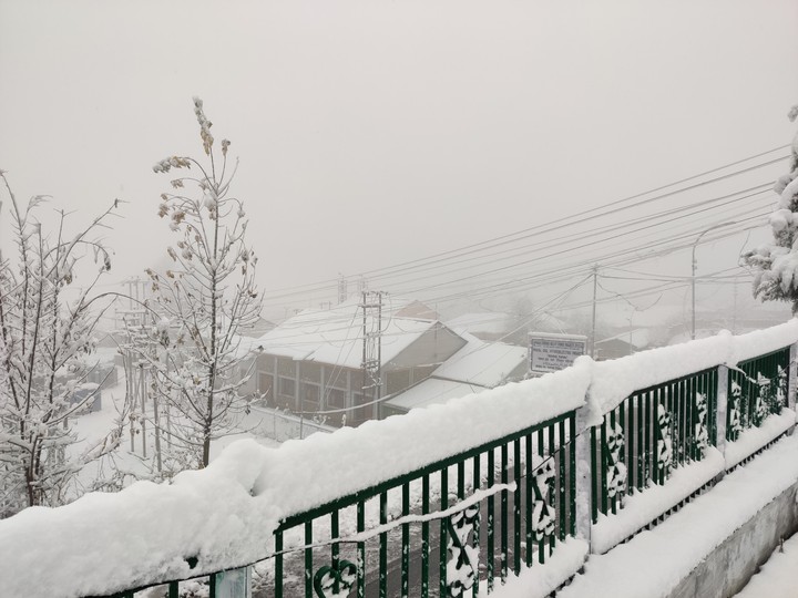 Snow