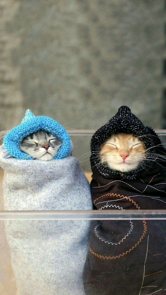 urgh......its very cold