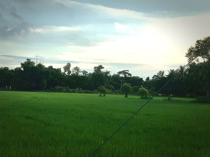 village