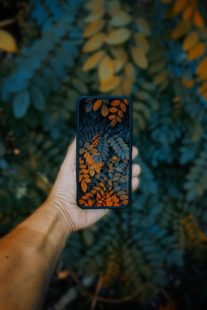 Phone in hand