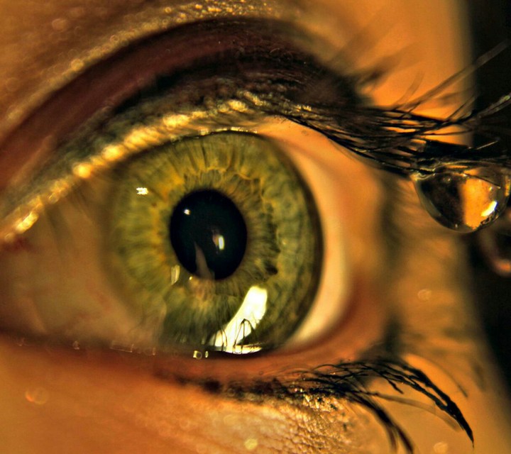 Eye