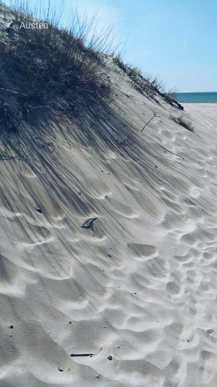 Sand