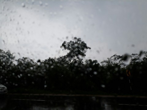 rain
