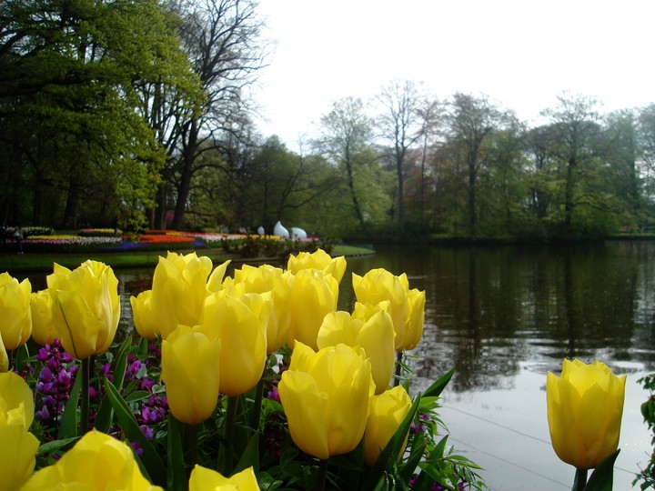 Nature@ItsBest
