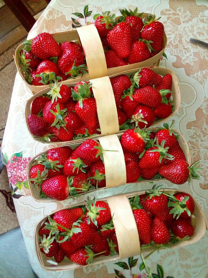 клубника