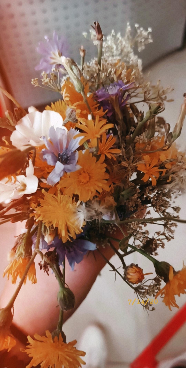 flover