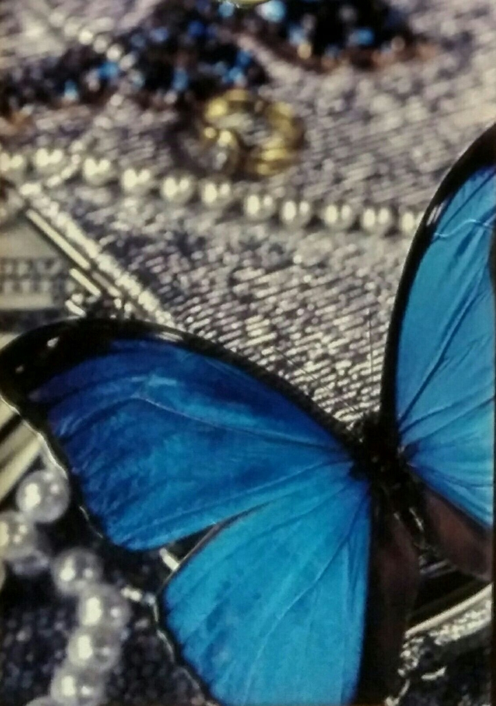 buterfly
