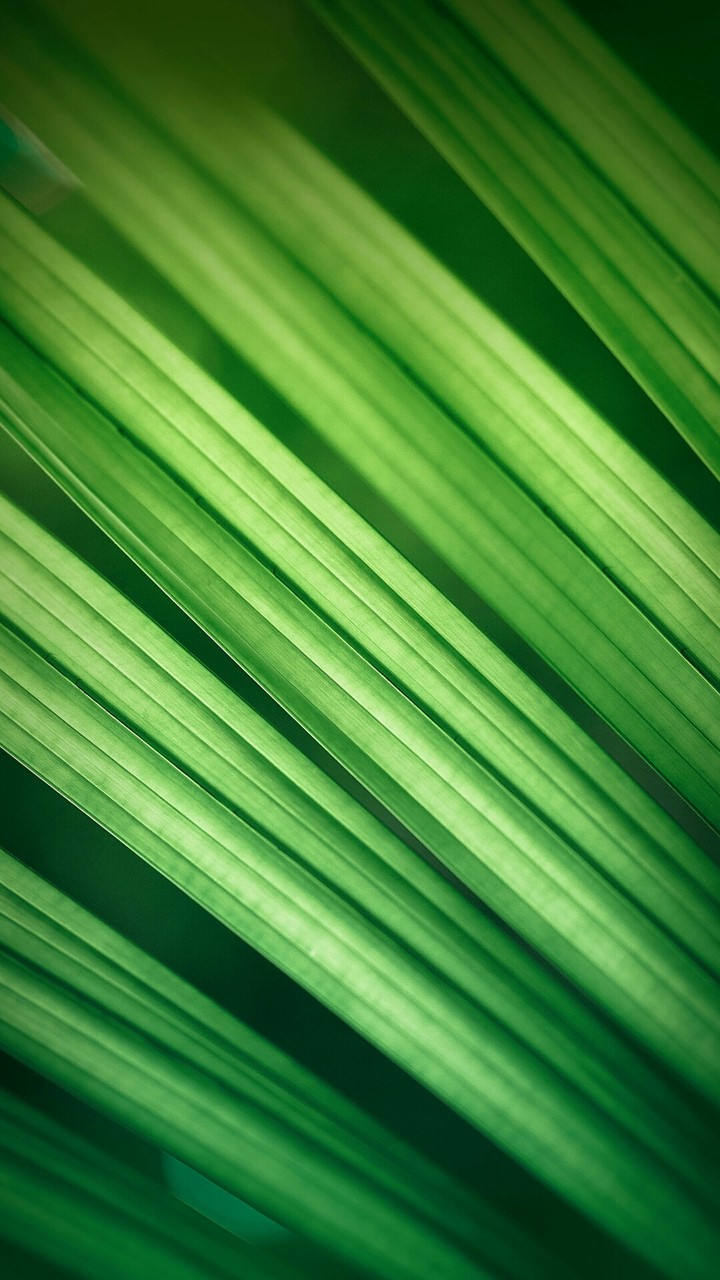 Lock Green