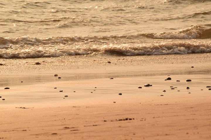 Sea Shore
