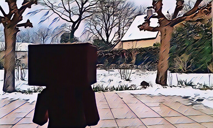 danbo