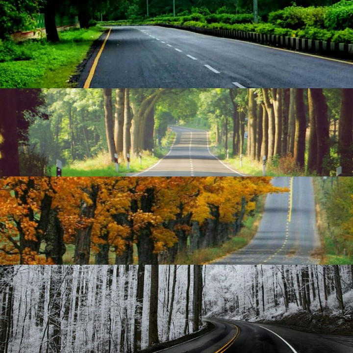 seasons