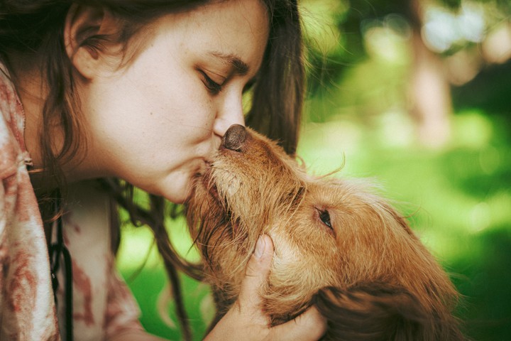 love