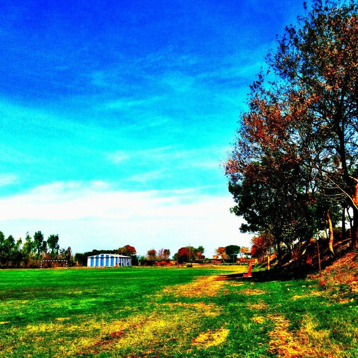 Nature