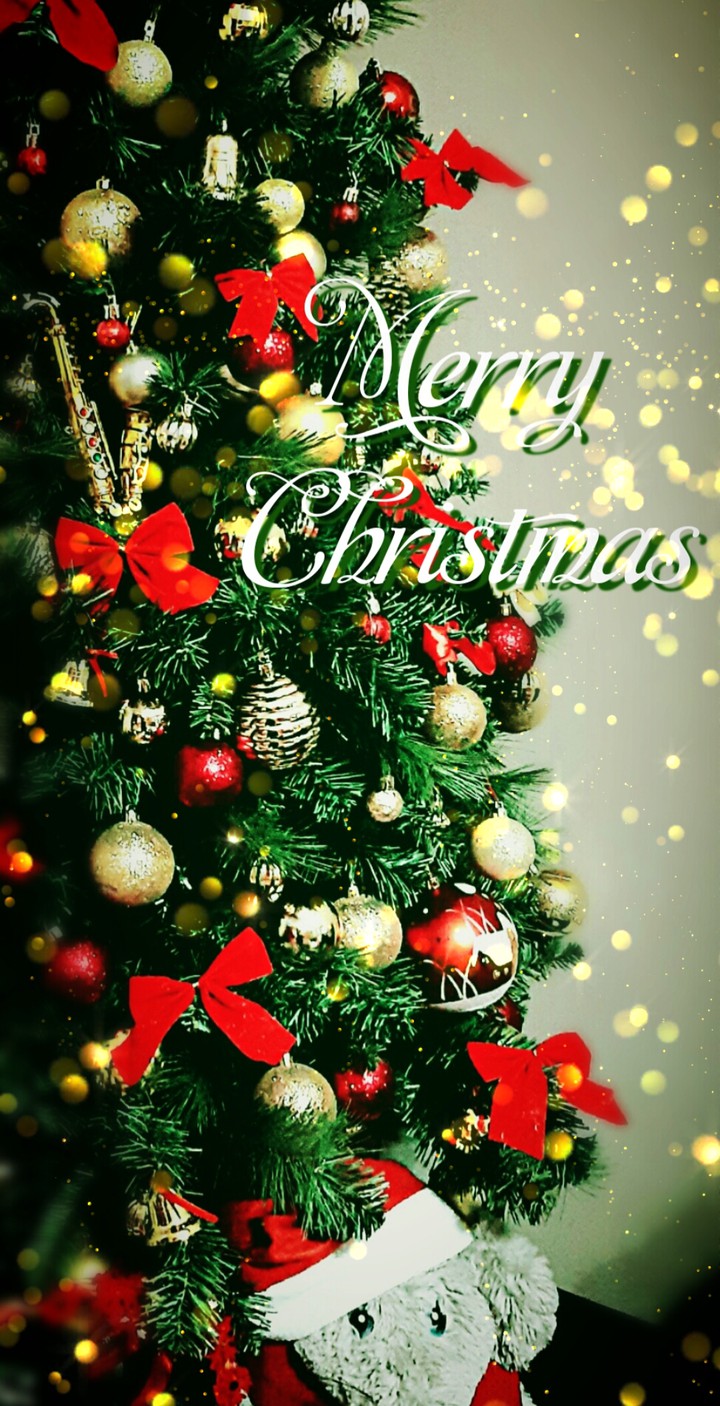 Merry Christmas