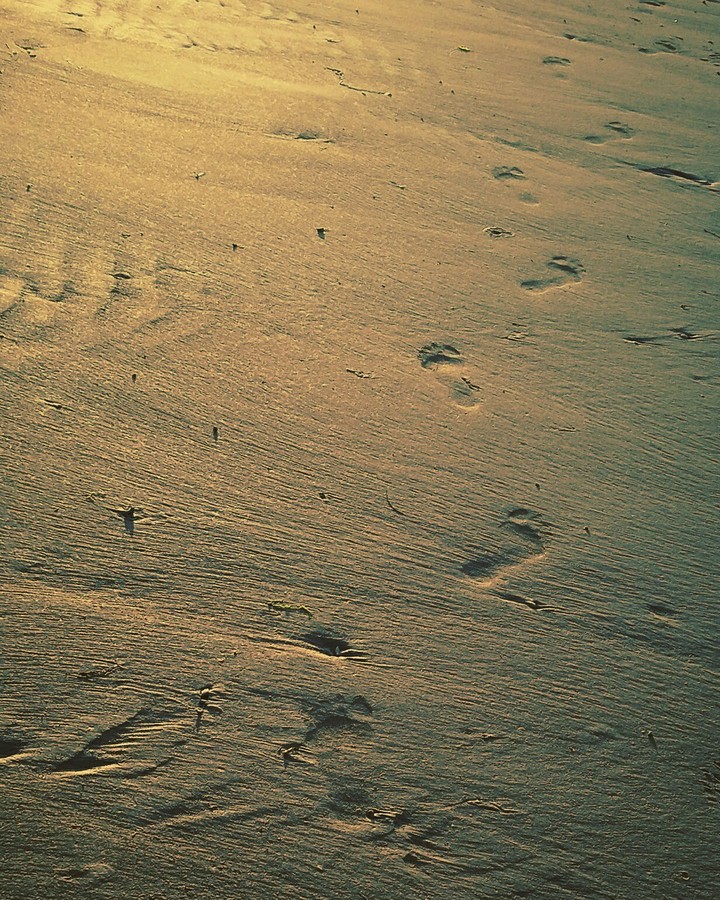 footprints in the sand