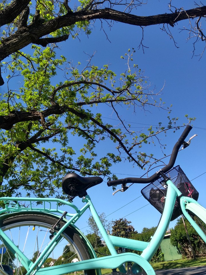 Momento favorito • En bici por BS AS