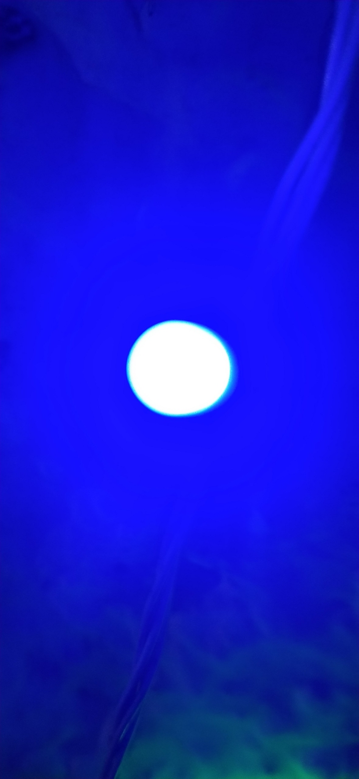 light