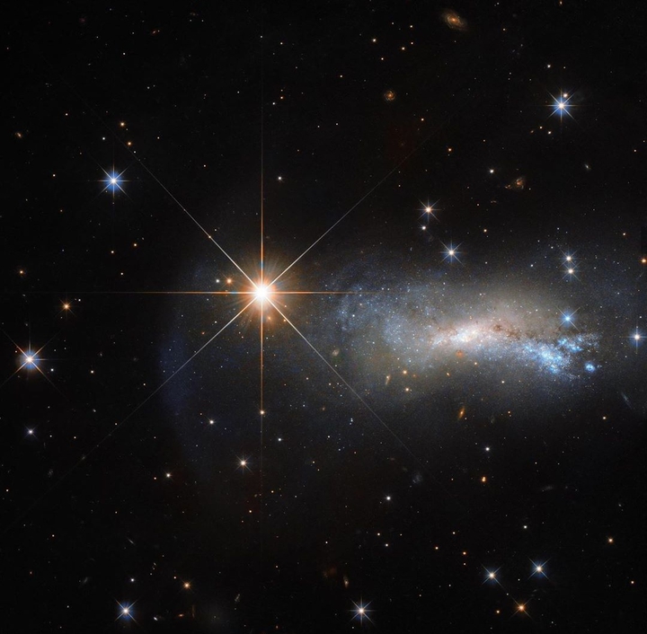 Shining Stars