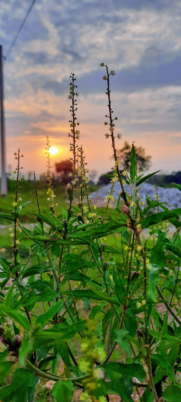 odisha kendujhar