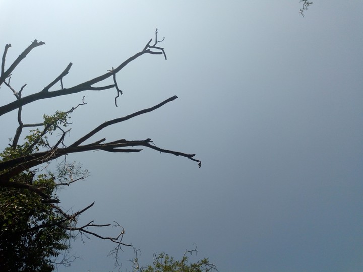 light blue sky