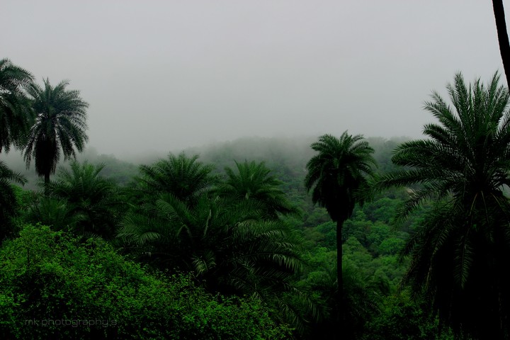 nature