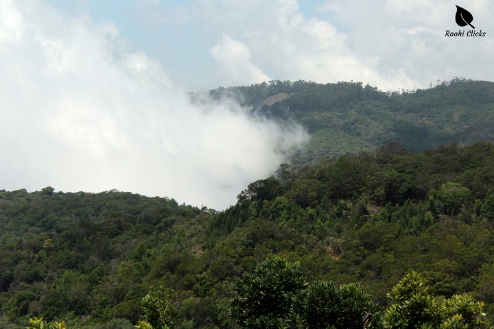 silent valley