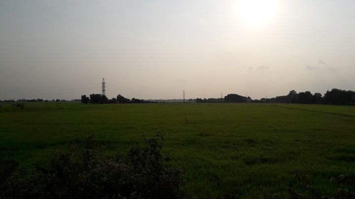 my hometown