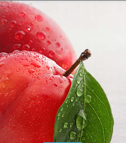 fruit, produce桌布