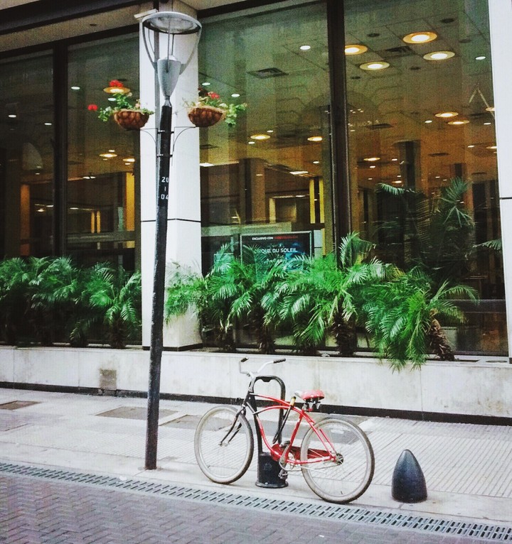 Flower Bike