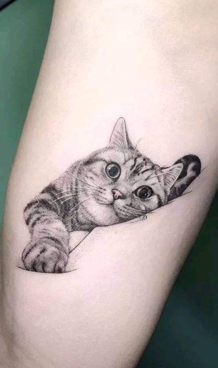 ??❤️