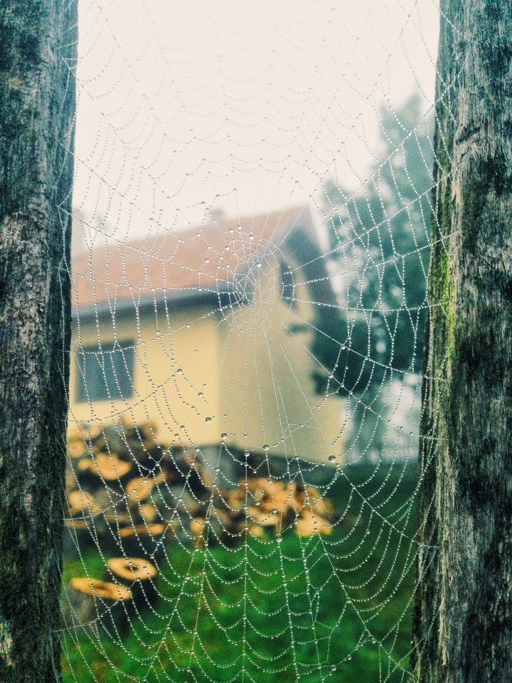 :)