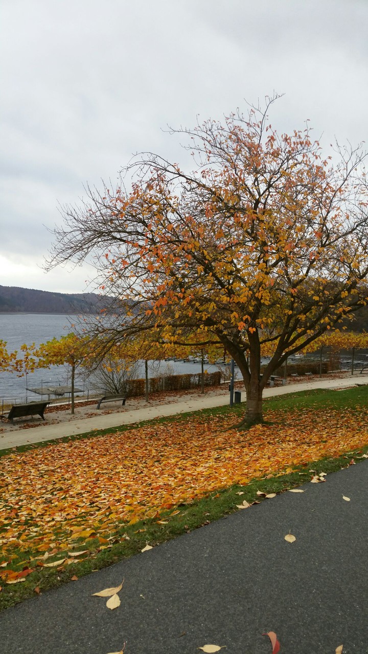 Möhnesee Herbst