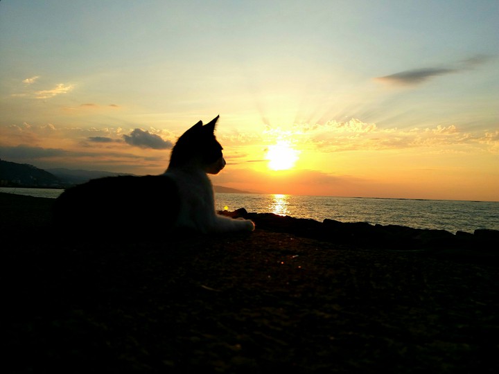 Sunset