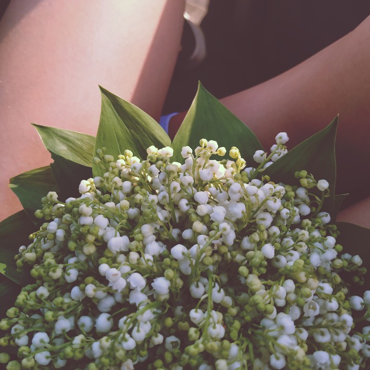 sold my soul for these flowers