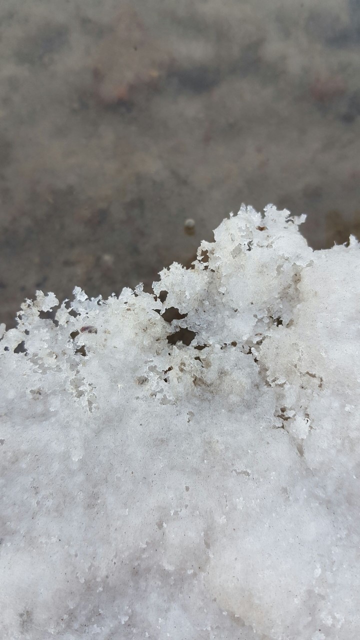 Salt