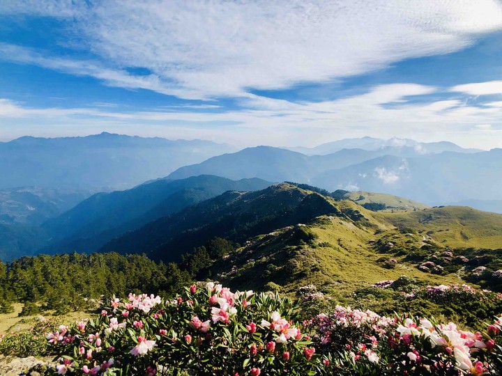 aa