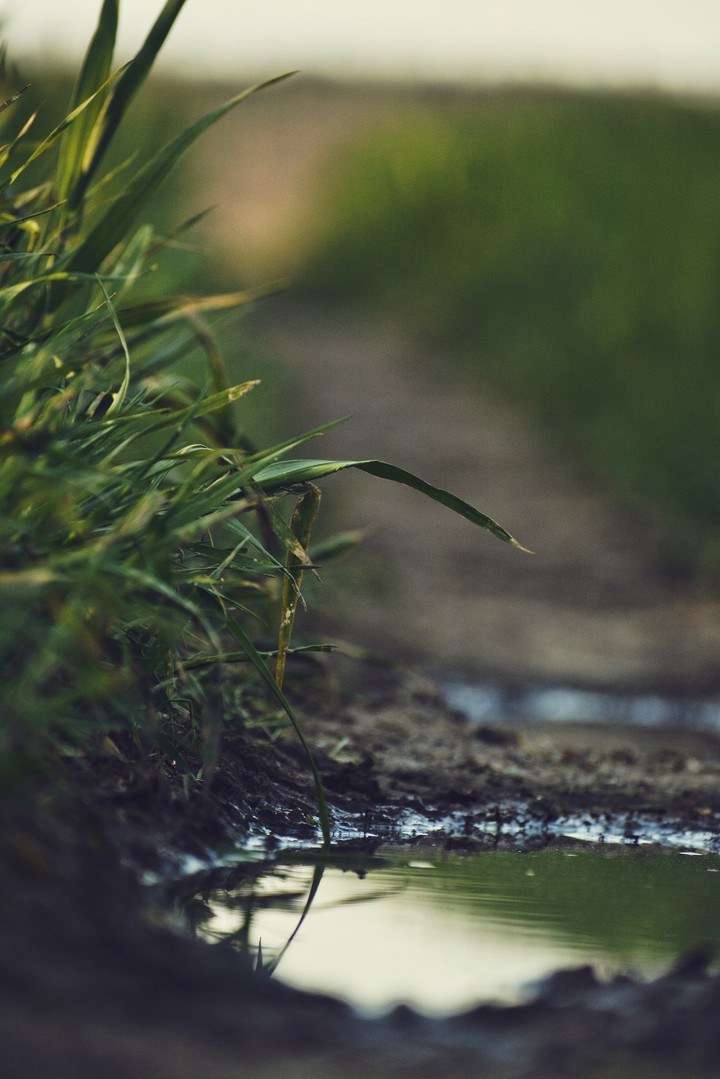 Natura
