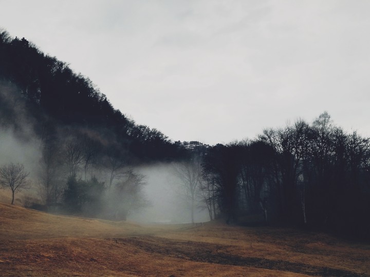 fog