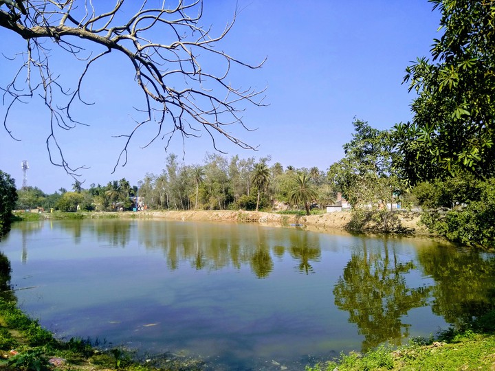 nature near home... west bengal