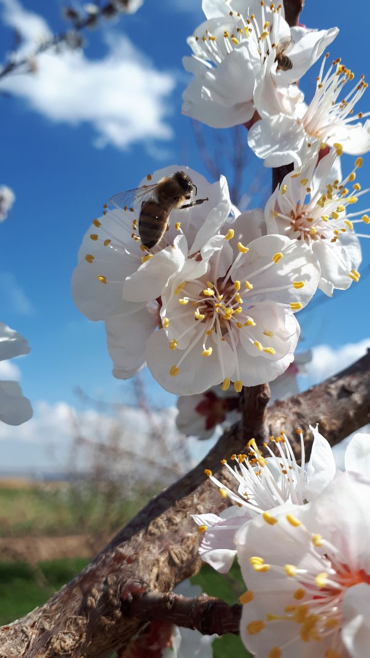 The Beauty of Nature