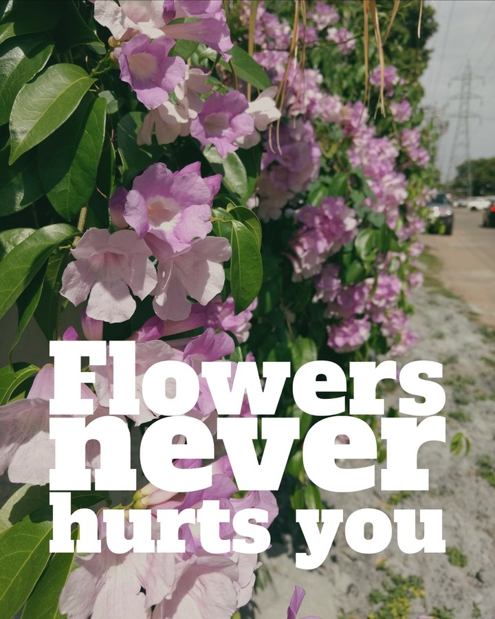 Heaven is made of flowers