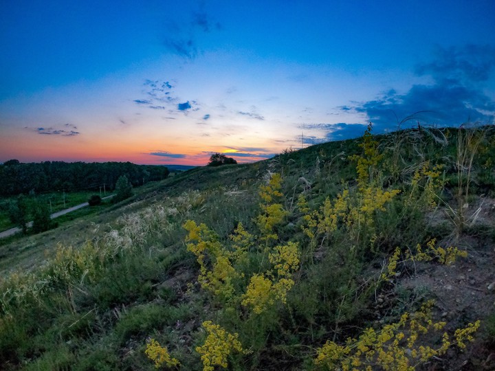 sunset