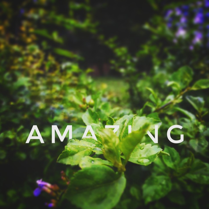 nature speaks...