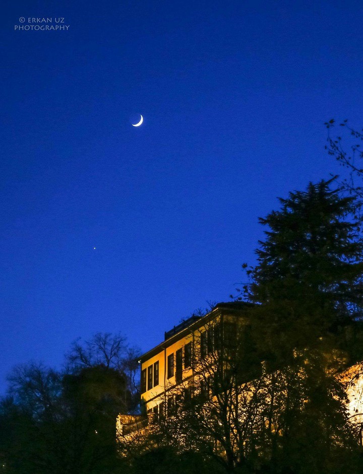 Bursa