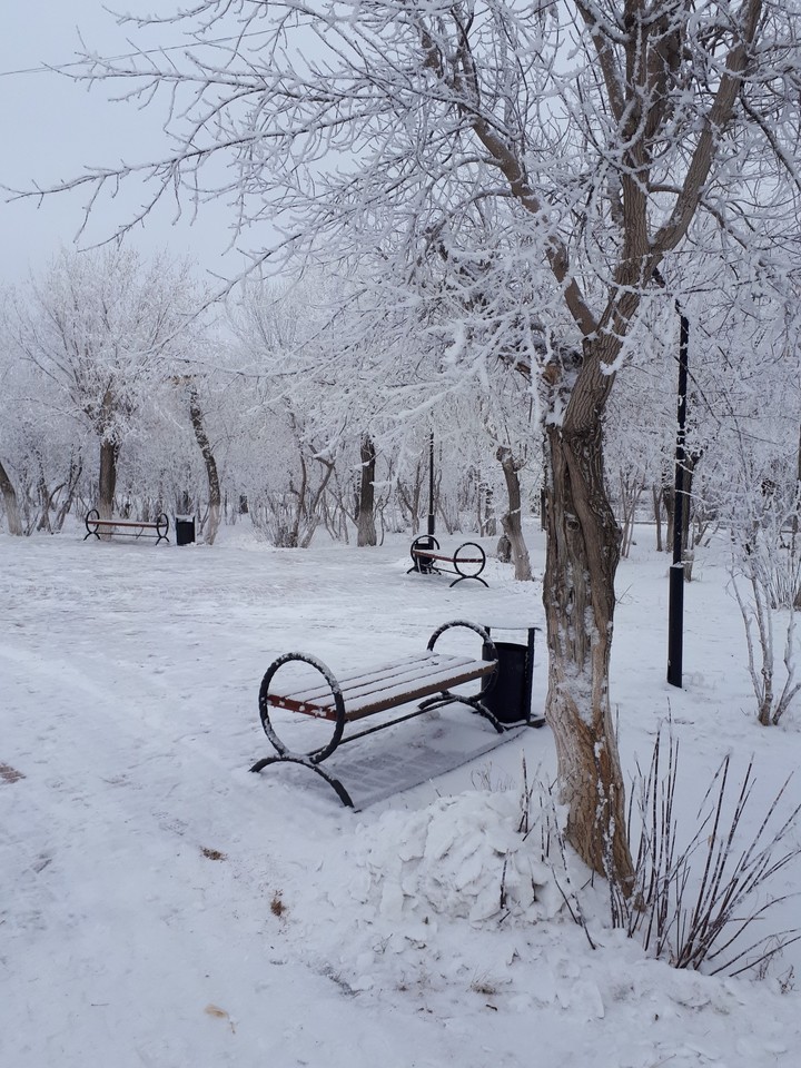 Winter