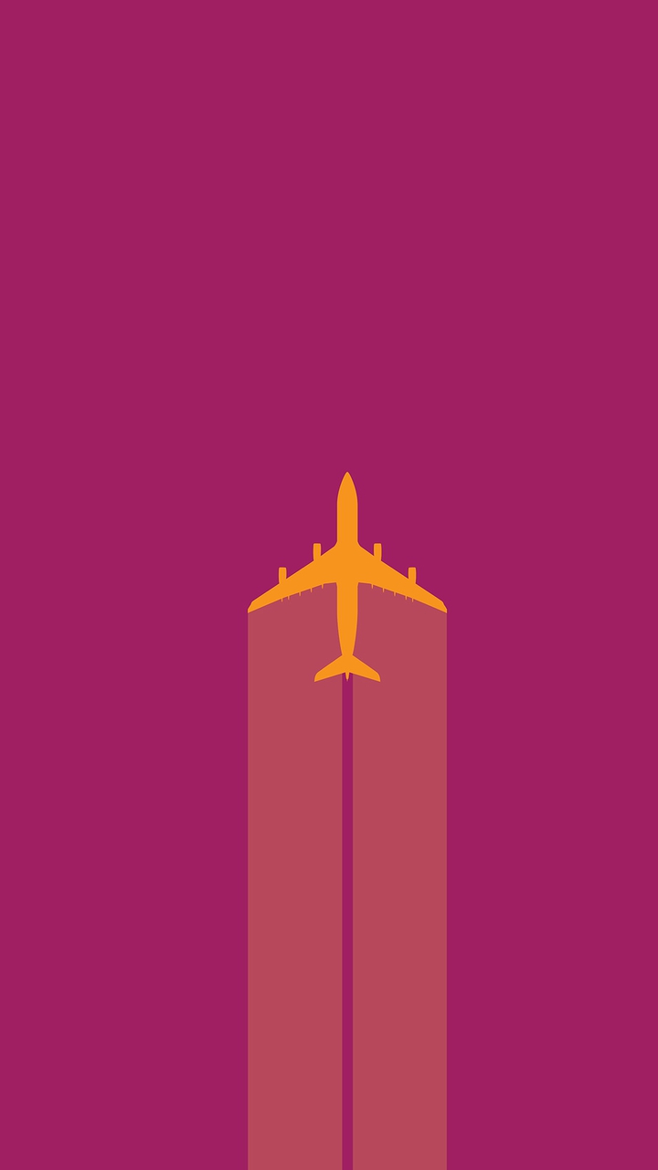 Flight