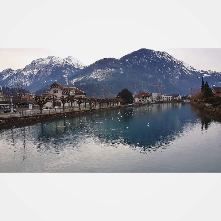 swiss