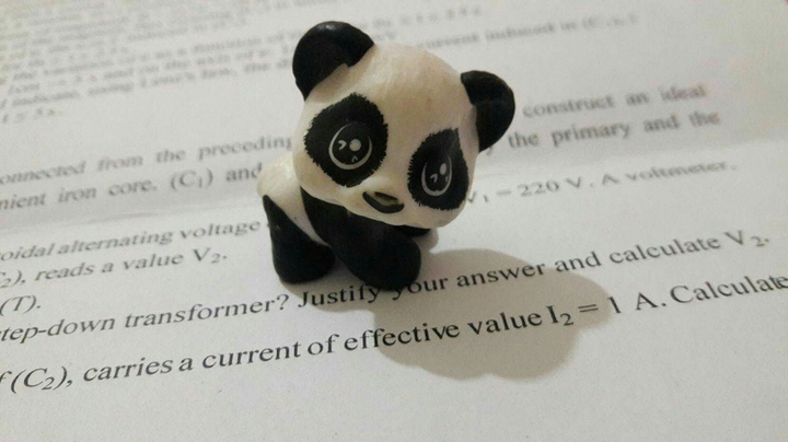 Little Panda